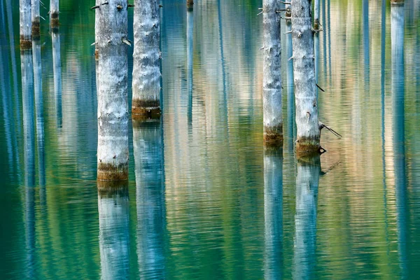 Der Birkensee Ist Ein 400 Meter Langer See Kasachstan Der — Stockfoto