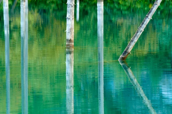 Reflexión Los Árboles Sobre Fondo Verde Del Lago Lago Kaindy —  Fotos de Stock