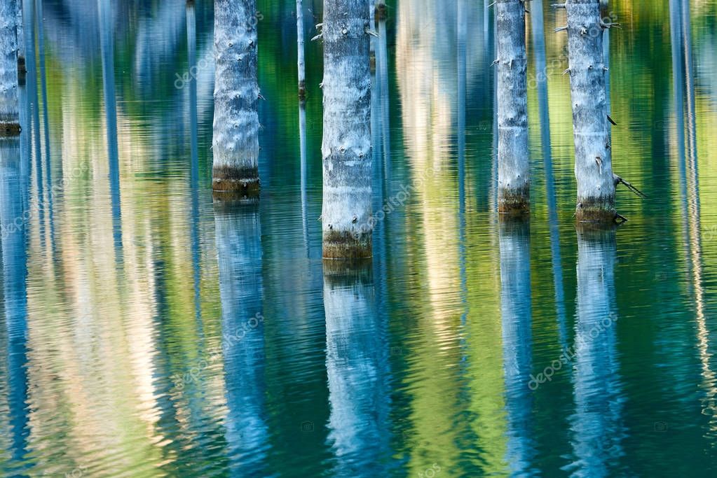 Reflection of trees on a green  background of lake.Lake Kaindy, meaning the 
