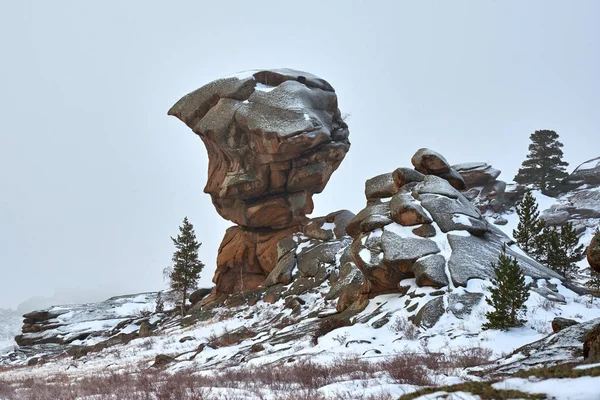 Kiefern Wachsen Auf Felsen Winter Blick Auf Die Berge Bayanaul — Stockfoto