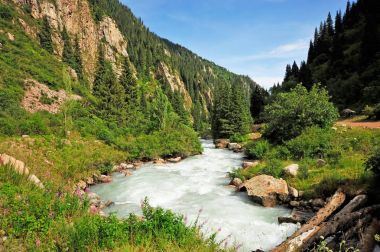 Grigorievsky Gorge.Grigorievskoe gorge görünümleri Gölü: Issyk-Kul en meşhur cazibe biri kabul edilir. Bu gorge güzel Tien Shan firs büyümek.