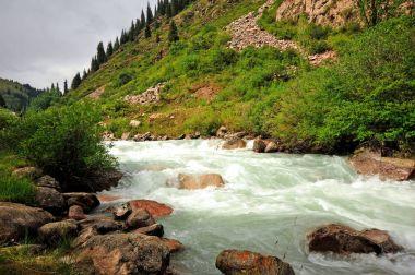 Grigorievsky Gorge.Grigorievskoe gorge görünümleri Gölü: Issyk-Kul en meşhur cazibe biri kabul edilir. Bu gorge güzel Tien Shan firs büyümek.