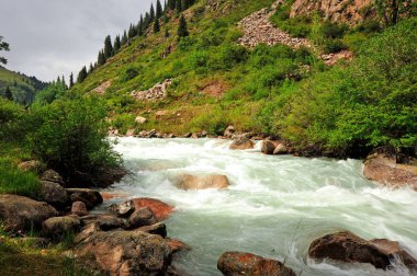 Grigorievsky Gorge.Grigorievskoe gorge görünümleri Gölü: Issyk-Kul en meşhur cazibe biri kabul edilir. Bu gorge güzel Tien Shan firs büyümek.