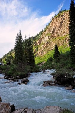 Grigorievsky Gorge.Grigorievskoe gorge görünümleri Gölü: Issyk-Kul en meşhur cazibe biri kabul edilir. Bu gorge güzel Tien Shan firs büyümek.