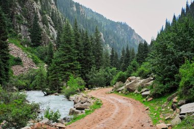 Grigorievsky Gorge.Grigorievskoe gorge görünümleri Gölü: Issyk-Kul en meşhur cazibe biri kabul edilir. Bu gorge güzel Tien Shan firs büyümek.
