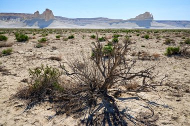 Ustyurt Plateau.Ustyurt yaylaları.Çöl ve yaylalar Ustyurt veya Ustyurt yaylaları Orta Asya 'nın batısında, Kazakistan, Türkmenistan ve Özbekistan' da parçacıklar bulunmaktadır..