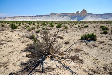 Ustyurt Plateau.Ustyurt yaylaları.Çöl ve yaylalar Ustyurt veya Ustyurt yaylaları Orta Asya 'nın batısında, Kazakistan, Türkmenistan ve Özbekistan' da parçacıklar bulunmaktadır..