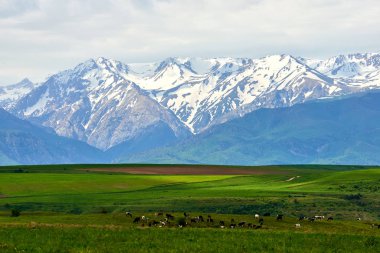 Aksu-Zhabagly Doğa Koruma Alanı 'ndaki dağlar. Türkistan bölgesi. Kazakistan.