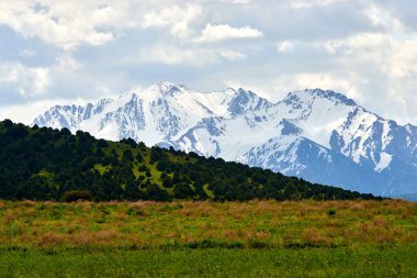 Aksu-Zhabagly Doğa Koruma Alanı 'ndaki dağlar. Türkistan bölgesi. Kazakistan.