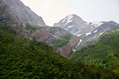 Sayram-Ugam Ulusal Parkı 'nın Doğa Manzarası. Türkistan bölgesi. Kazakistan. Sayram-Ugam Milli Parkı Batı Tian Shan Dağları 'ndadır..