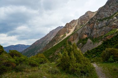 Sayram-Ugam Ulusal Parkı 'nın Doğa Manzarası. Türkistan bölgesi. Kazakistan. Sayram-Ugam Milli Parkı Batı Tian Shan Dağları 'ndadır..