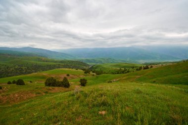 Sayram-Ugam Ulusal Parkı 'nın Doğa Manzarası. Türkistan bölgesi. Kazakistan. Sayram-Ugam Milli Parkı Batı Tian Shan Dağları 'ndadır..