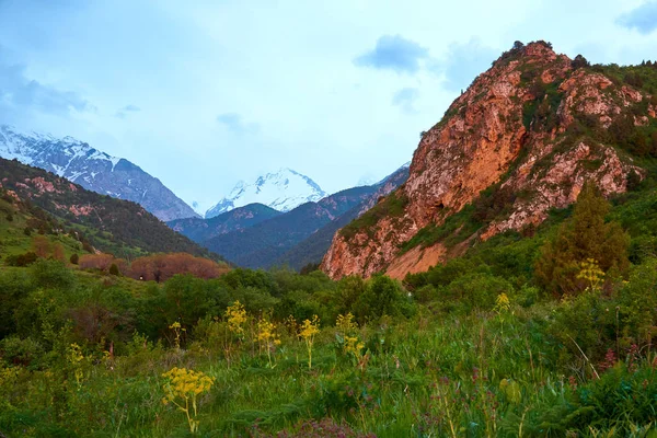 Paisagem Natural Parque Nacional Sayram Ugam Região Turquestão Cazaquistão Parque — Fotografia de Stock