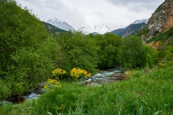 Přírodní Krajina Národního Parku Sayram Ugam Turkestánská Oblast Kazachstán Národní — Stock fotografie