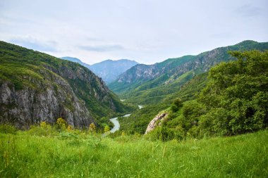 Sayram-Ugam Ulusal Parkı 'nın Doğa Manzarası. Türkistan bölgesi. Kazakistan. Sayram-Ugam Milli Parkı Batı Tian Shan Dağları 'ndadır..