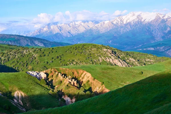 Sayram-Ugam Ulusal Parkı 'nın Doğa Manzarası. Türkistan bölgesi. Kazakistan. Sayram-Ugam Milli Parkı Batı Tian Shan Dağları 'ndadır..
