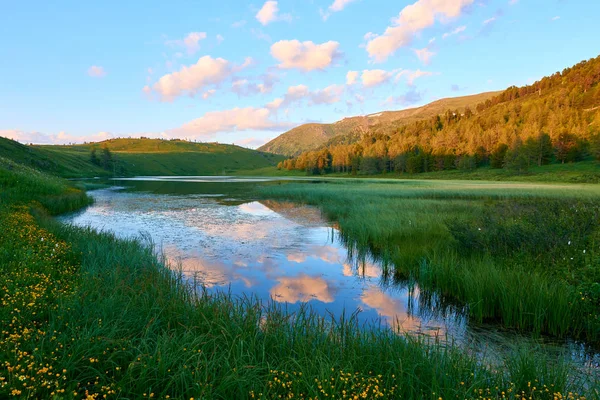 Горное Озеро Национальный Парк Катон Карагай Казахстан — стоковое фото
