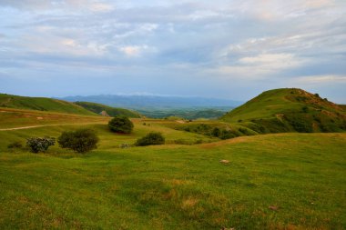 Orta Asya, Kazakistan 'da yeşil ağaçlı dağ vadisi..