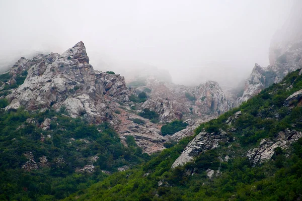 Paysage Naturel Parc National Sayram Ugam Région Turkestan Kazakhstan Parc — Photo