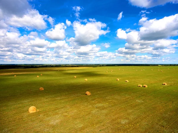 Aerial Photography Green Fields Rural Areas North Kazakhstan Region — Stock Photo, Image