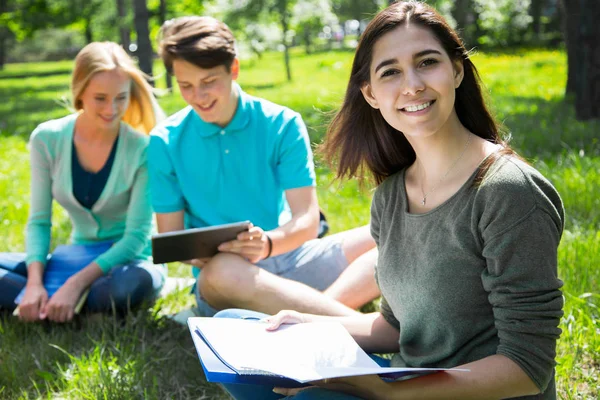 Grupp Studenter Som Studerar Tillsammans Campus Mark — Stockfoto