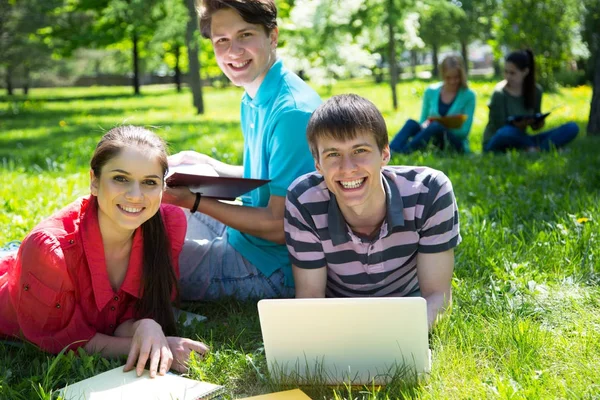 Grupo Estudiantes Que Estudian Juntos Campus —  Fotos de Stock