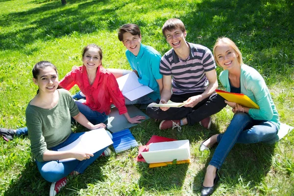 Grupo Estudiantes Que Estudian Juntos Campus —  Fotos de Stock