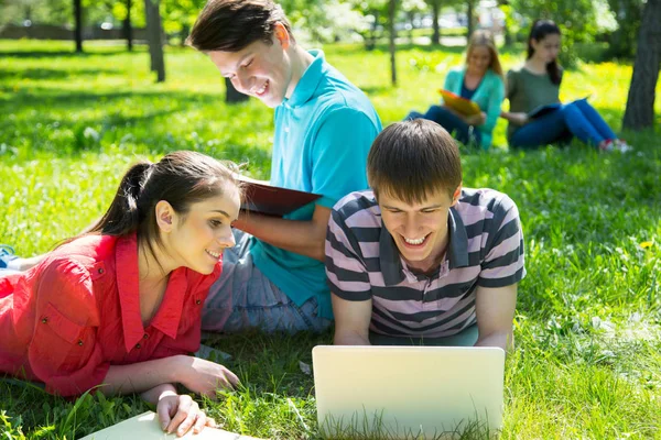 Grupo Estudiantes Que Estudian Juntos Campus —  Fotos de Stock