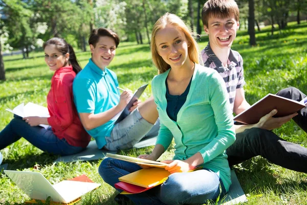 Groep Studenten Samen Voorbereiden Het Examen Het Gras Het Park — Stockfoto