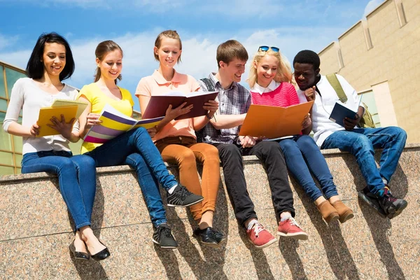 Group University Students Studying Reviewing Homework Stock Image