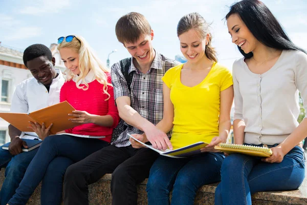 Group University Students Studying Reviewing Homework Royalty Free Stock Photos