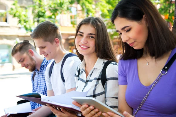 Gruppo Studenti Universitari Che Studiano Revisione Dei Compiti Nel Parco — Foto Stock