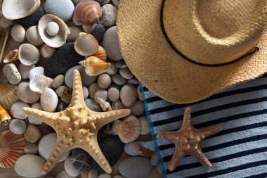 Yaz arka plan deniz kabukları ve taşlar