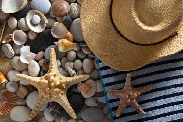 Yaz arka plan deniz kabukları ve taşlar