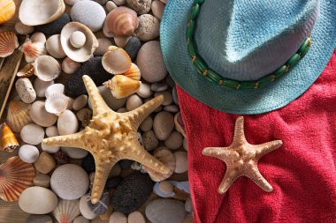 Yaz arka plan deniz kabukları ve taşlar