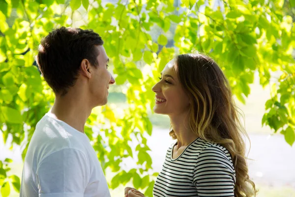 Pareja abrazándose en un parque en un día soleado —  Fotos de Stock