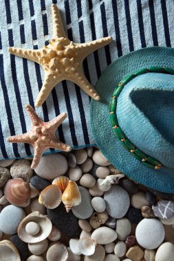 deniz kabukları ve taşlar