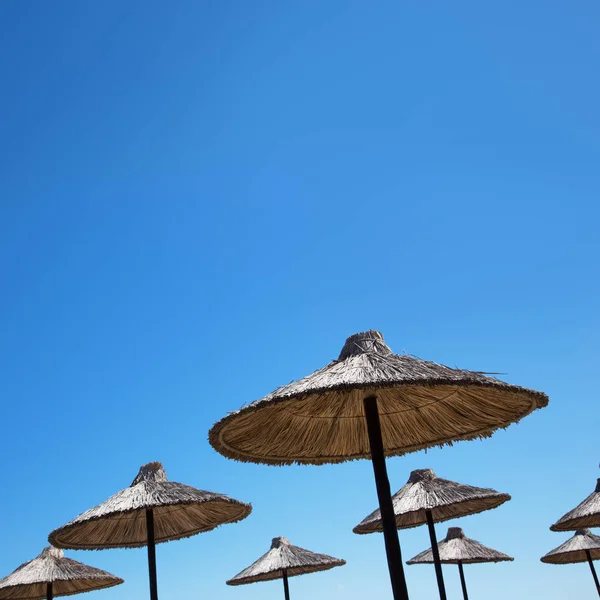 Güneşli bir plaj şemsiye — Stok fotoğraf