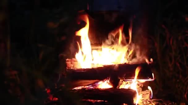 火の上の観光客のボウラー フィールドの条件で料理 生存のための野生の森林条件 — ストック動画