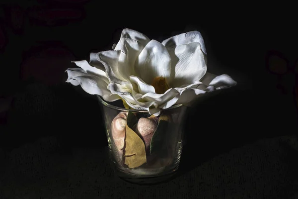 Artificial flower in glass base with black background