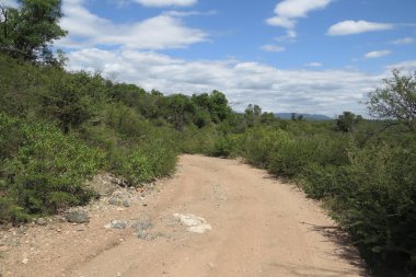 Cordoba dağlarının izleri.