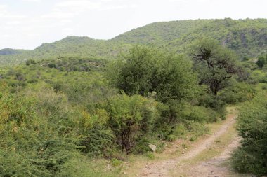 Cordoba dağlarının izleri.