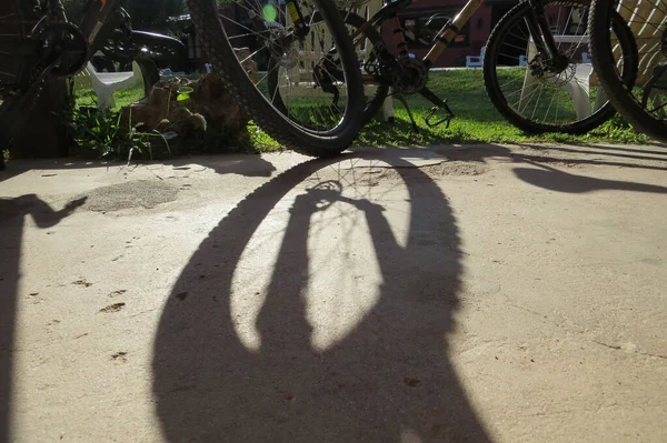 Bicicletas Suas Sombras — Fotografia de Stock