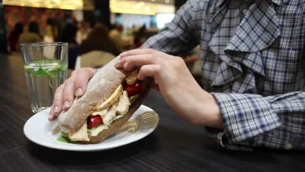 Tavuk ve sebze bir plaka üzerinde sandviç — Stok video