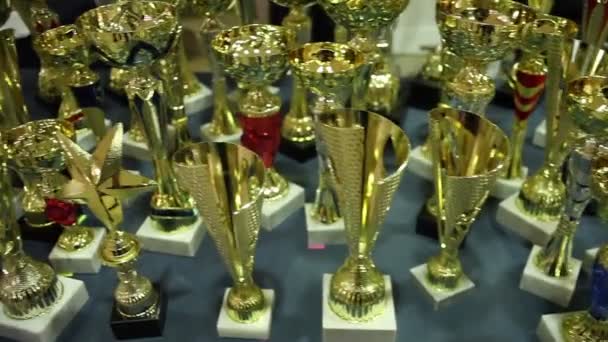 Diferentes Tipos Troféus Dourados Mesa — Vídeo de Stock