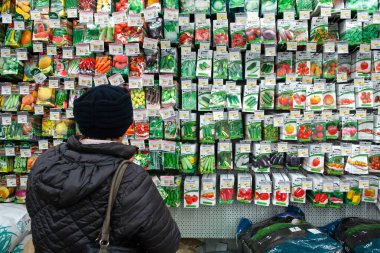 Minsk, Belarus - 23 Kasım 2019: Kadın bahçıvan için paketlenmiş tohumları seçti