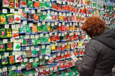 Minsk, Belarus - 23 Kasım 2019: Kadın bahçıvan için paketlenmiş tohumları seçti