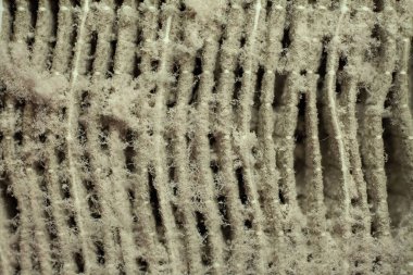 Kirli hava filtresi arkaplanı