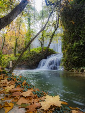 Suyu, sakinleştirici su etkisiyle takip eden su çağlayanı ve ön planda çok sonbahar sarısı yapraklar.