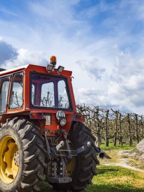 Ön planda kırmızı traktör, arka planda ağaçlar ve çok tehditkar bulutlar var.